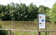 Der Teich am Müllershammer ist eine Station des Themenpfades 'Wasserwege'