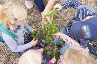 Sommerferienprogramm