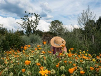 Garten im LVR-Freilichtmuseum Lindlar