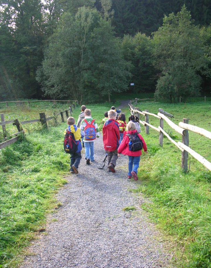 Kinder wandern in der Natur