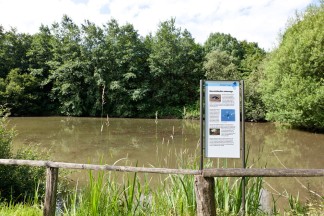 Der Teich am Müllershammer ist eine Station des Themenpfades 'Wasserwege'