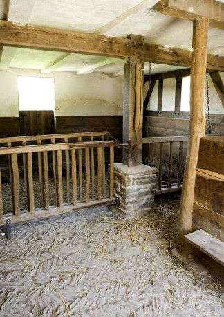 Blick in den Stall