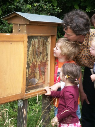 Eine Familie beobachtet die Bienen in einer Wabe, die hinter Glas ausgestellt ist