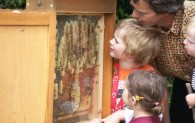 Eine Familie beobachtet die Bienen in einer Wabe, die hinter Glas ausgestellt ist