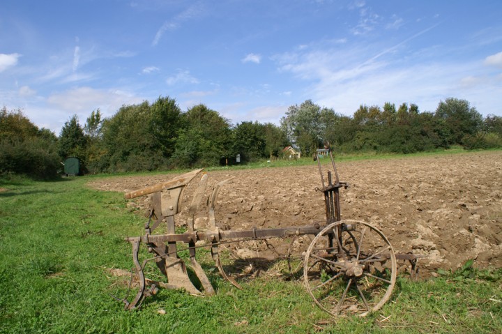 Acker im LVR-Freilichtmuseum Lindlar