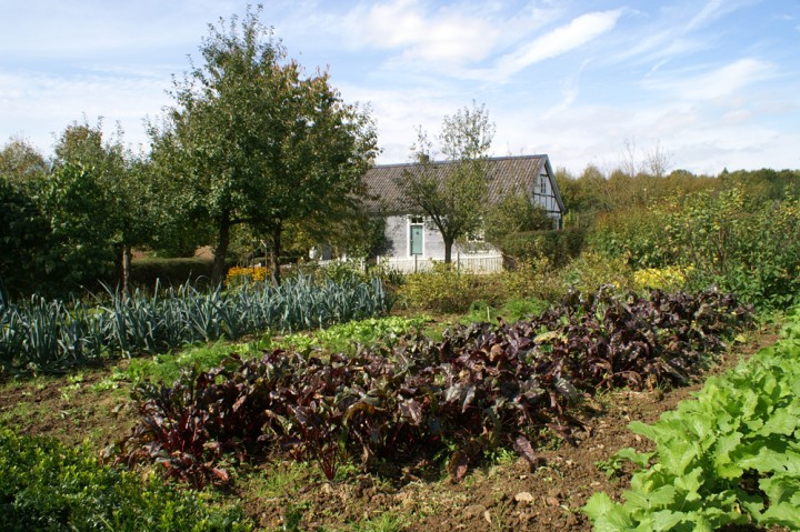 Garten im LVR-Freilichtmuseum