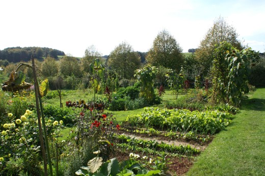 Garten im LVR-Freilichtmuseum Lindlar