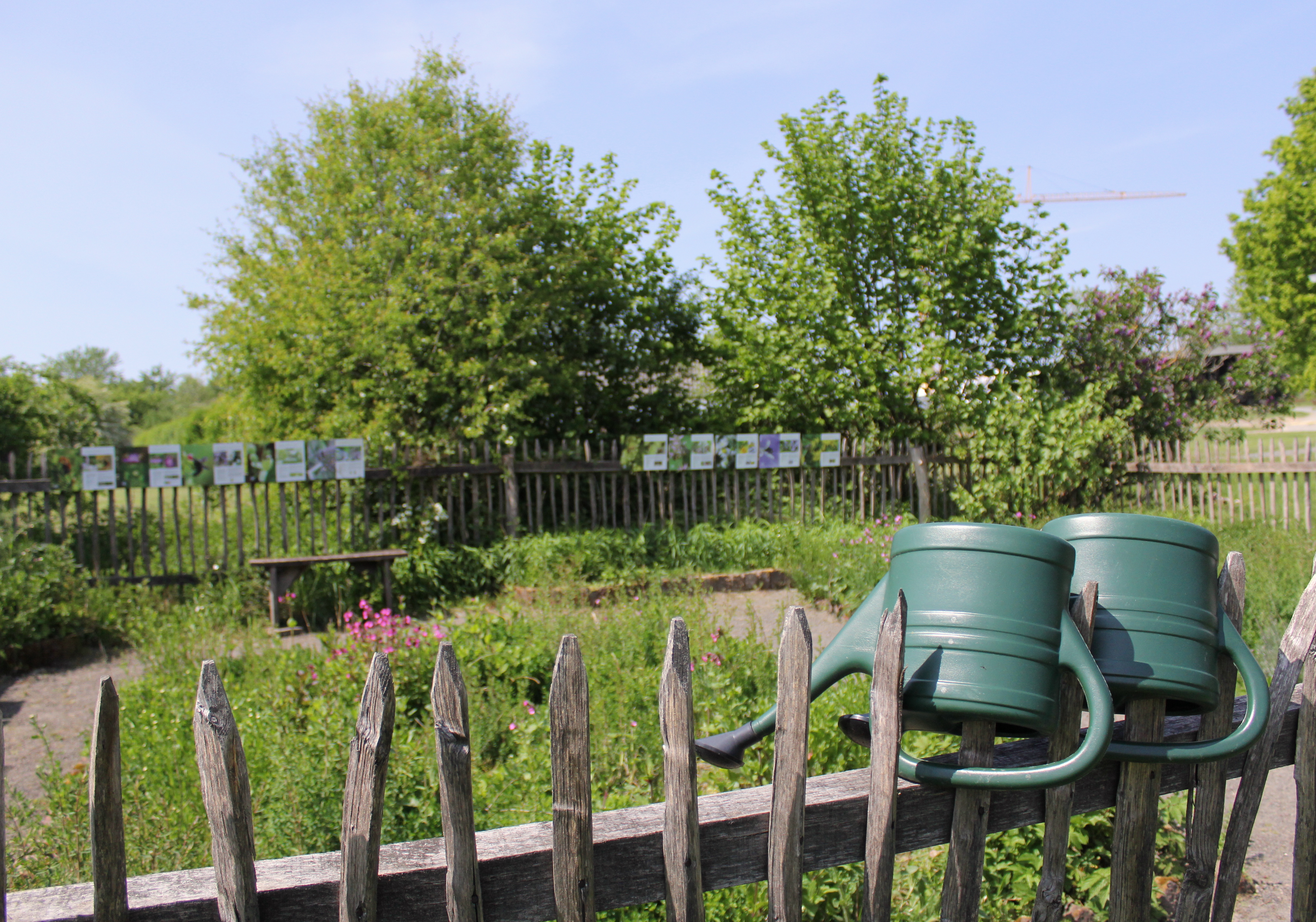 Zwei Gießkannen auf einem Gartenzaun