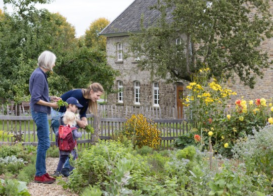 Besuchende schauen sich die blühenden Gärten im LVR-Freilichtmuseum an