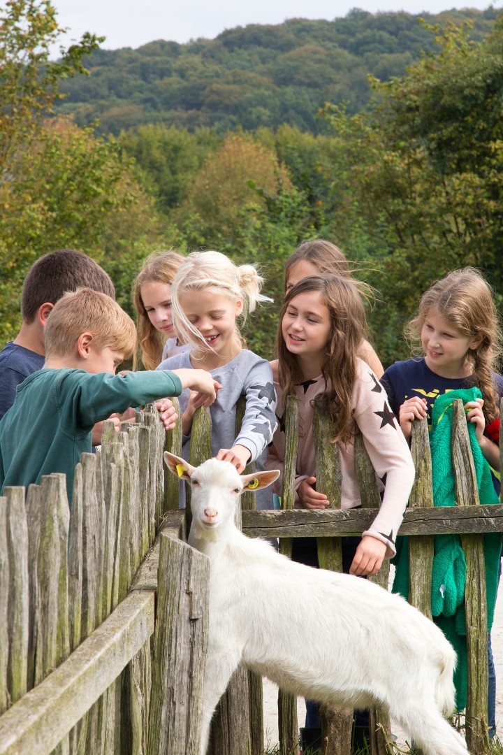 Kinder streicheln eine Ziege