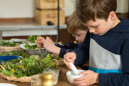 Kinder arbeiten mit Kräutern 