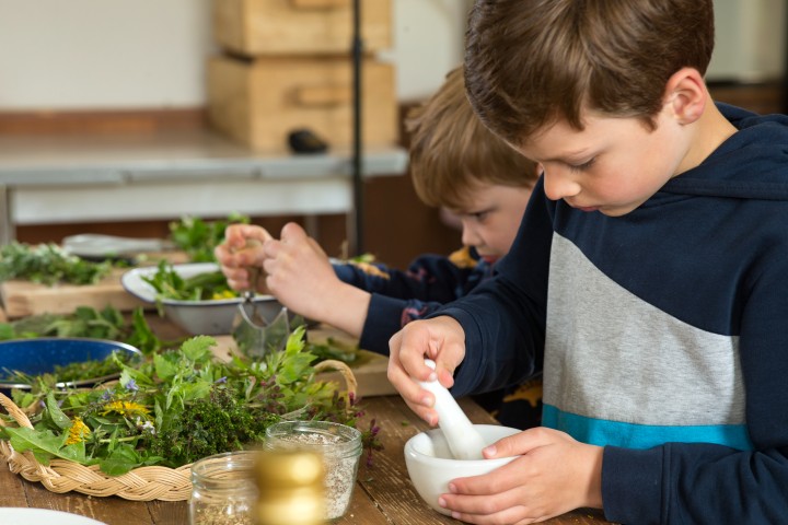 Kinder betrachten Pflanzen