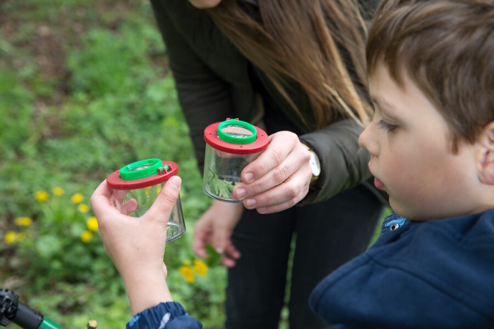 Kinder schauen in einen Lupenbecher