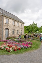 Blumen vor der alten Schule