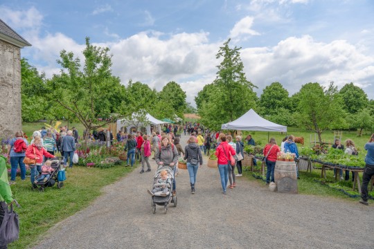 Auf Tischen sind viele verschiedene vorgezogen Pflanzen aufgebaut. Besucher schauen sich interessiert um.