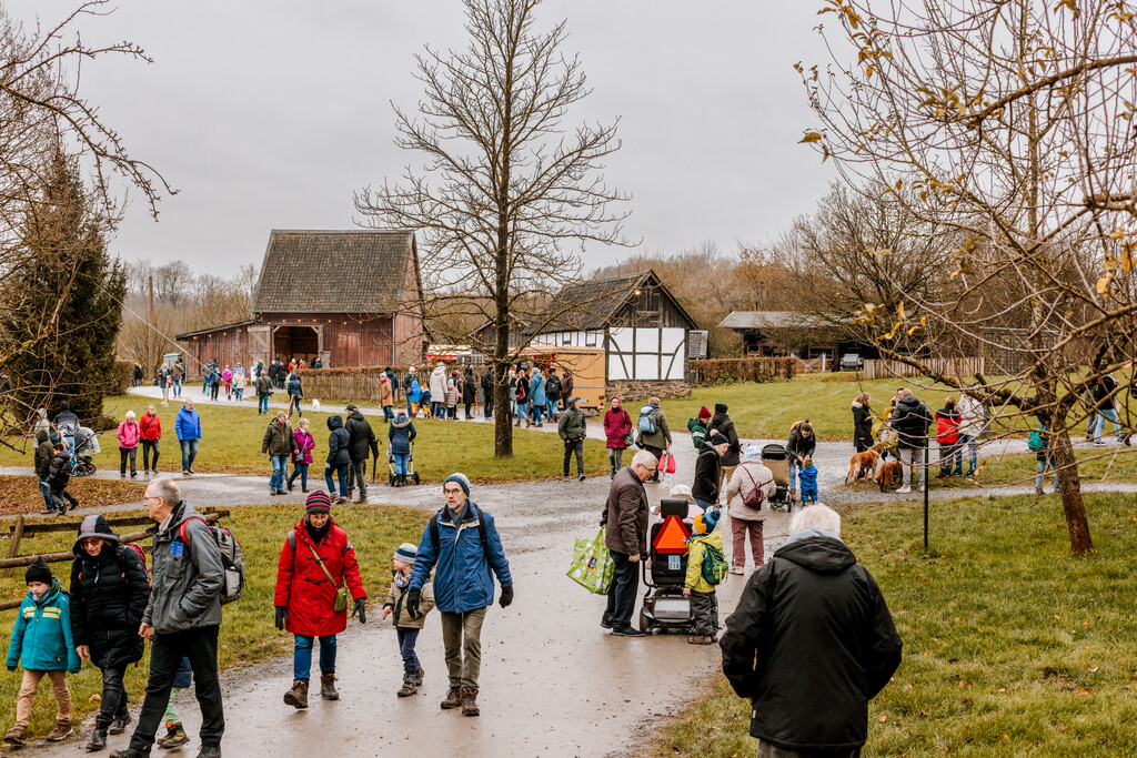 Auf dem Museumsgelände sind viele Besuchende unterwegs. Im Hintergrund sind ein Verkaufsstand, zwei Scheunen und eines der historischen Fachwerkhäuser zu erkennen. 