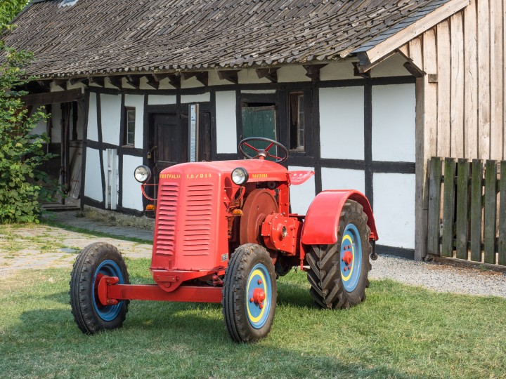 Pflügen mit dem Pferd