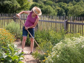 Gärtnern im Arche-Garten
