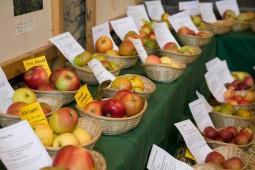 Obstsortenschau