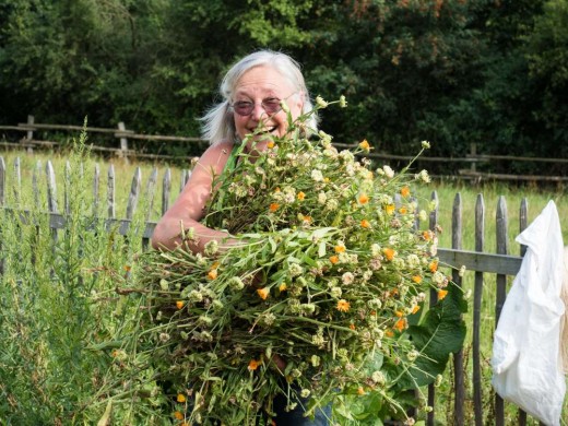 In die Kamera lachende Frau, die den ganzen Arm voller Blumen hält. Im Hintergrund ein Zaun und Gärten.